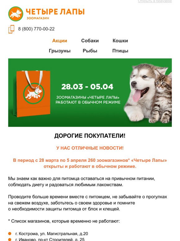 Интернет Магазин 4 Лапы Каталог