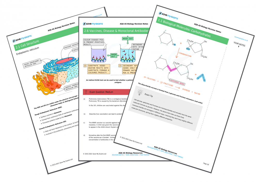 Save My Exams New As Level Biology Revision Notes Milled