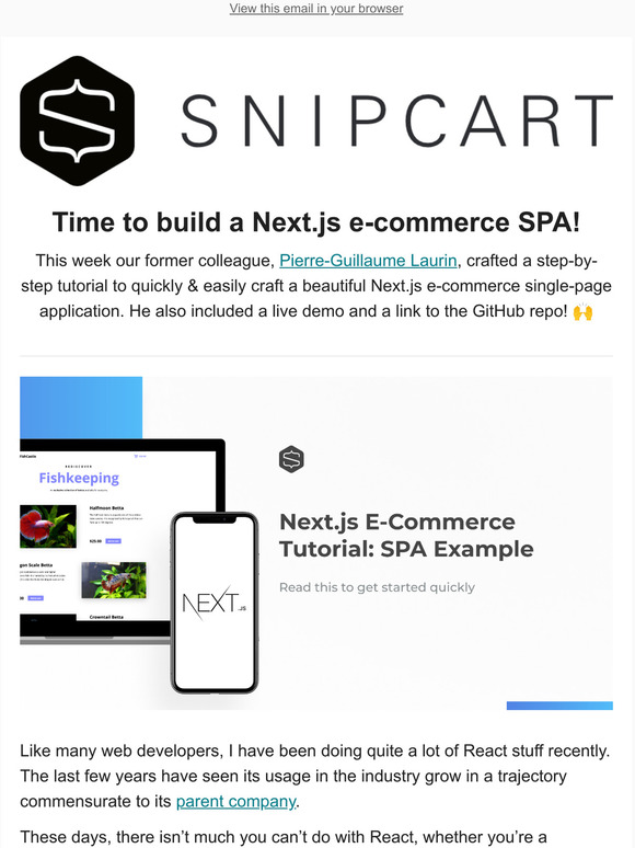 Snipcart Next Js For Your E Commerce Spa Milled