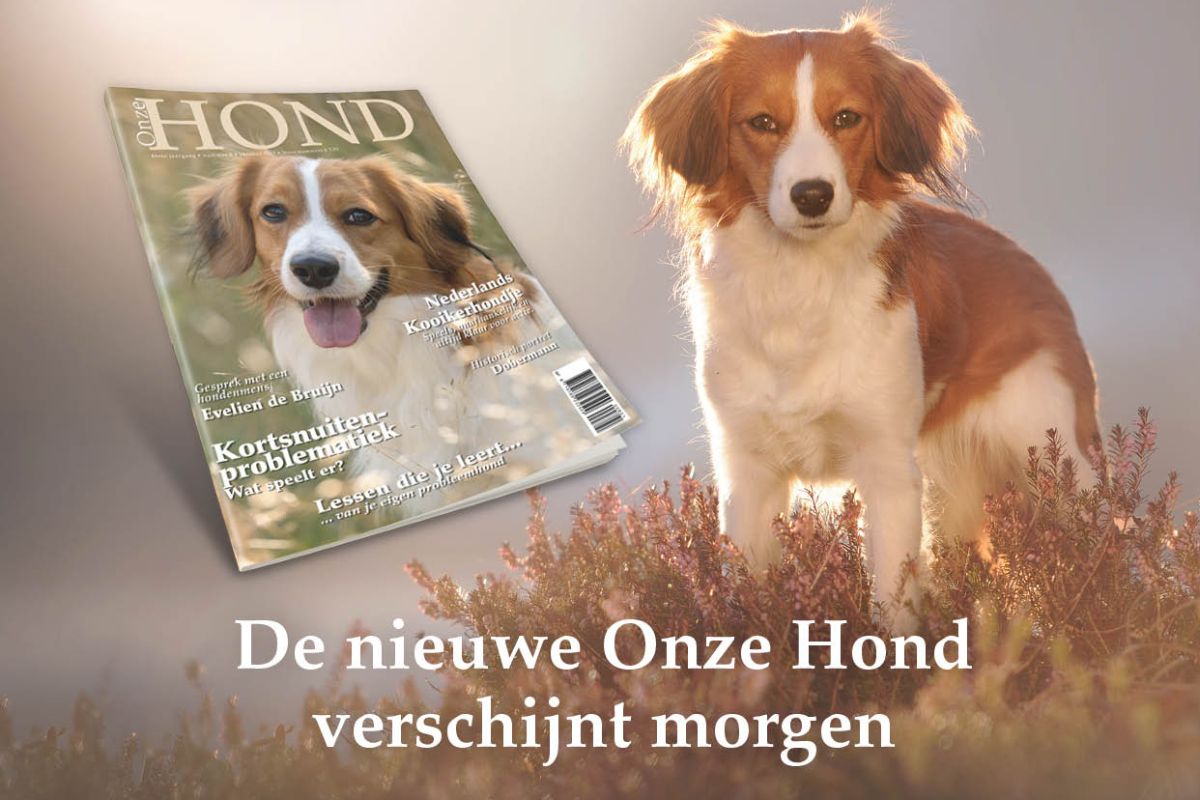 Onzehond Nl Onze Hond De Nieuwe Editie Is Uit Nederlands