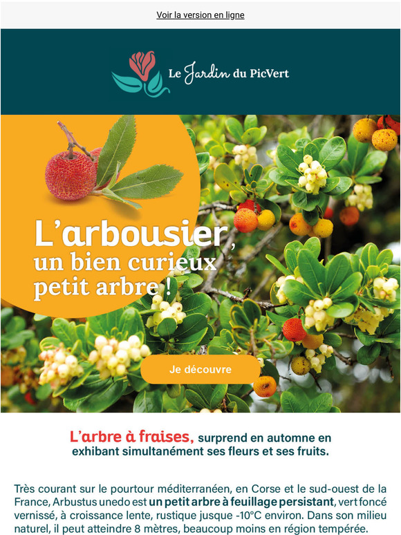 Jardin Du Pic Vert De 6000 Plantes En Ligne Dcouvrez L Arbre Fraise