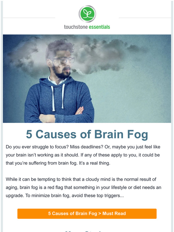 Touchstone Essentials 5 Causes Of Brain Fog Milled