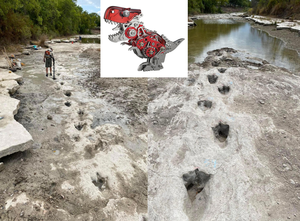 Enginediy Shocking Dinosaur Tracks In Texas From Million Years