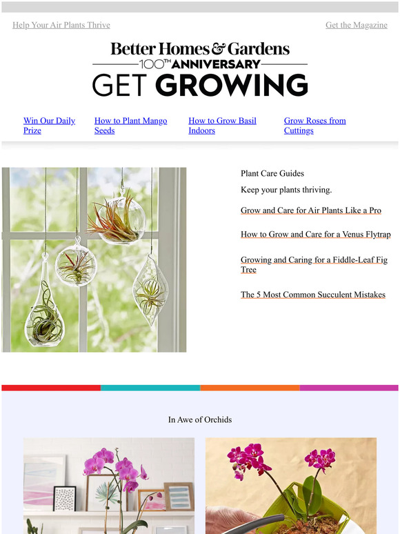 Better Homes And Gardens Plant Care Guides Decorating With