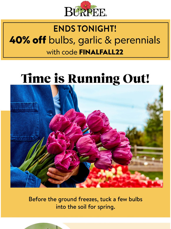 Burpee Gardening Ends Tonight 40 Off Garlic Bulbs Perennials Milled