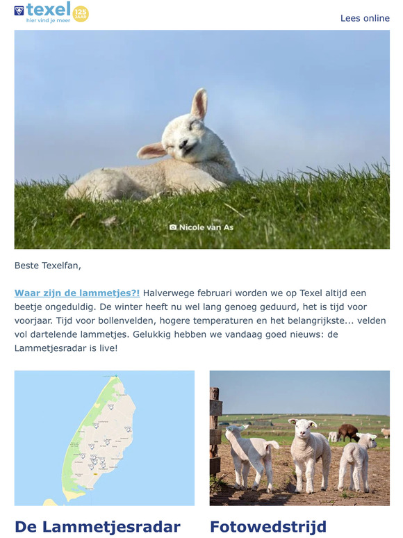 Texel Net Waar Zijn De Lammetjes Milled