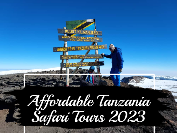 Safaribando Affordable Tanzania Safari Packages For Milled