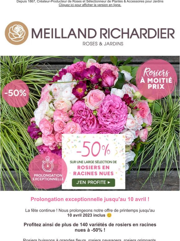 Meilland Richardier PROLONGATION 50 sur une large sélection de