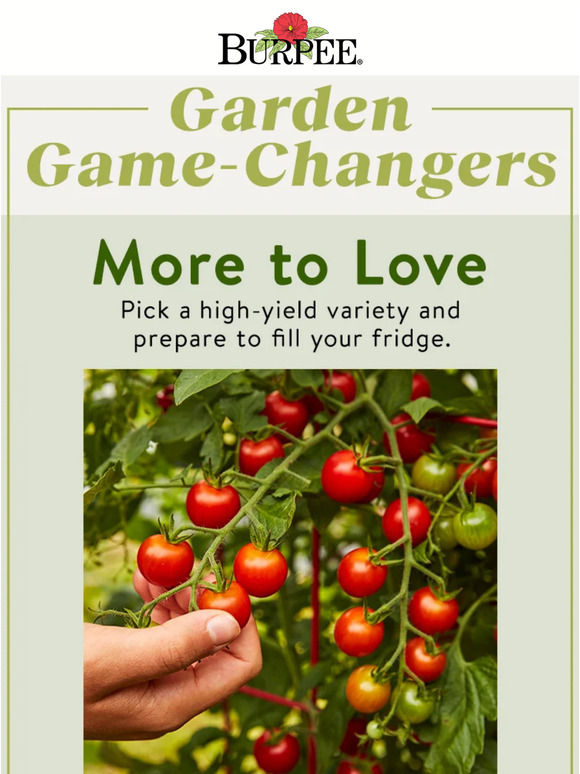 Burpee Gardening High Yield Veg Varieties Milled