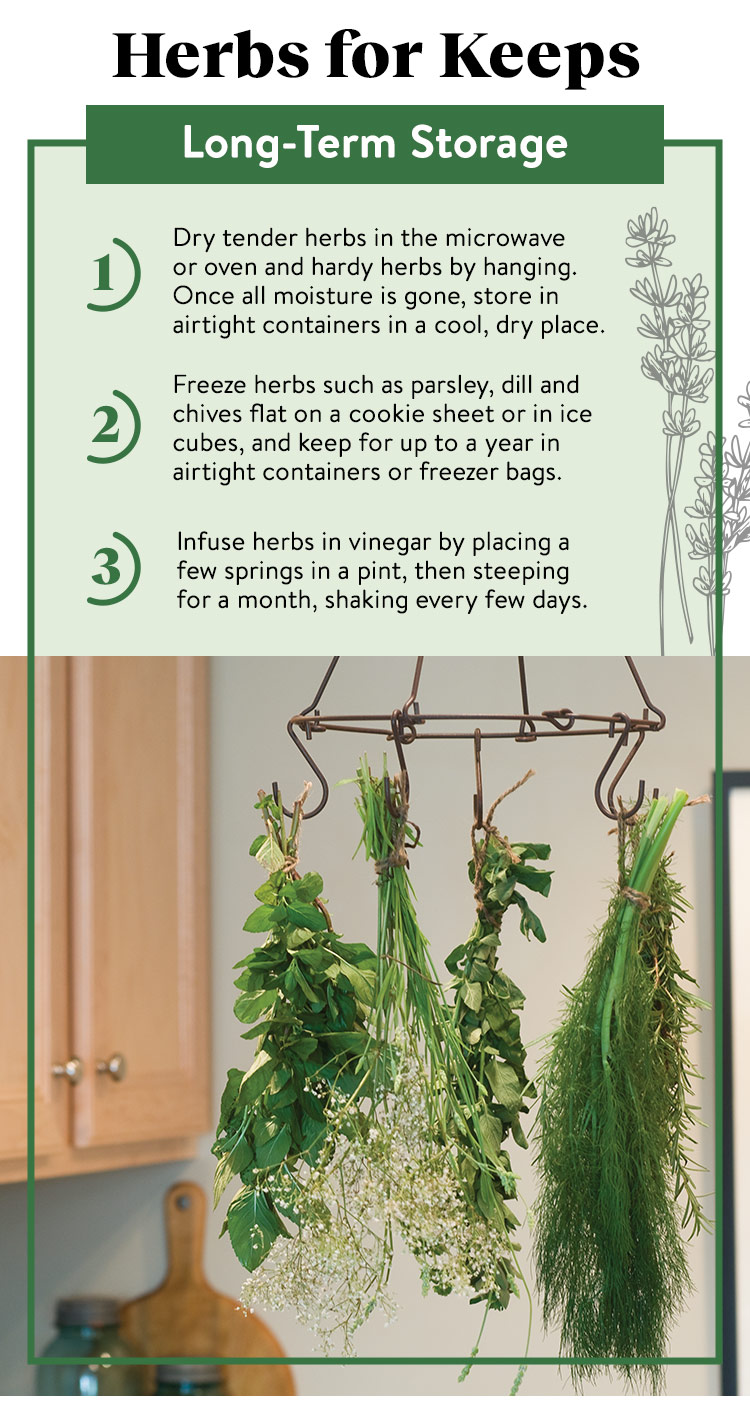 Burpee Gardening How To Store Your Herbs Milled