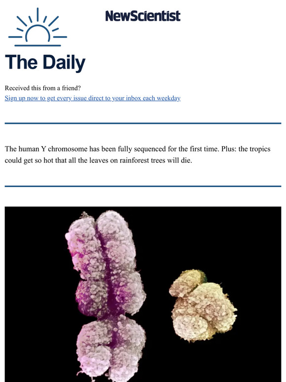 New Scientist Human Y Chromosome Has Finally Been Sequenced Milled