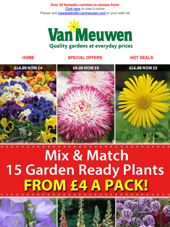 Van Meuwen 15 Garden Ready Plants From 4 A Pack Mix Match Special