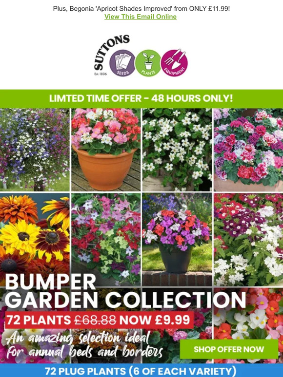 Suttons Seeds 72 Plant Bumper Collection JUST 9 99 Milled