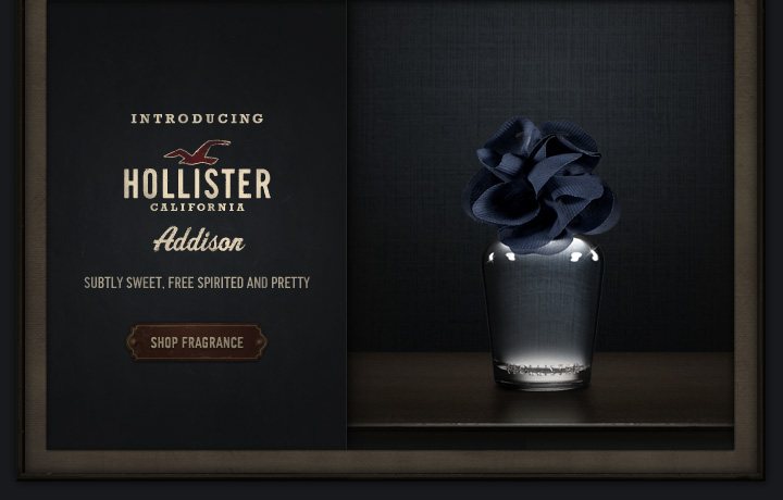 Hollister Meet Addison the hottest new Perfume from So Cal Milled