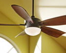 Ceiling Fans