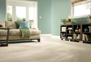 Stainmaster Carpet