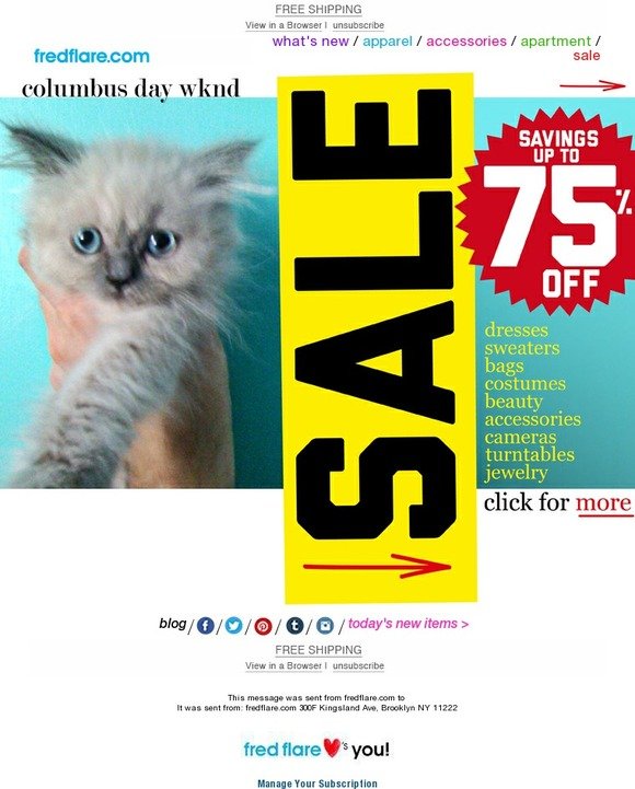 Columbus Day SALE + kittens?