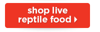 Shop live reptile food