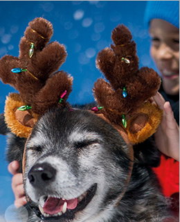 Petco