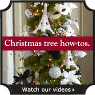 Christmas tree how-tos