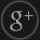 Google+