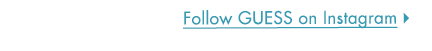 Follow GUESS