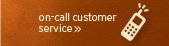 on 
call customer service