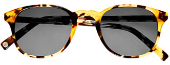 Downing in Walnut Tortoise