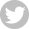 Twitter icon