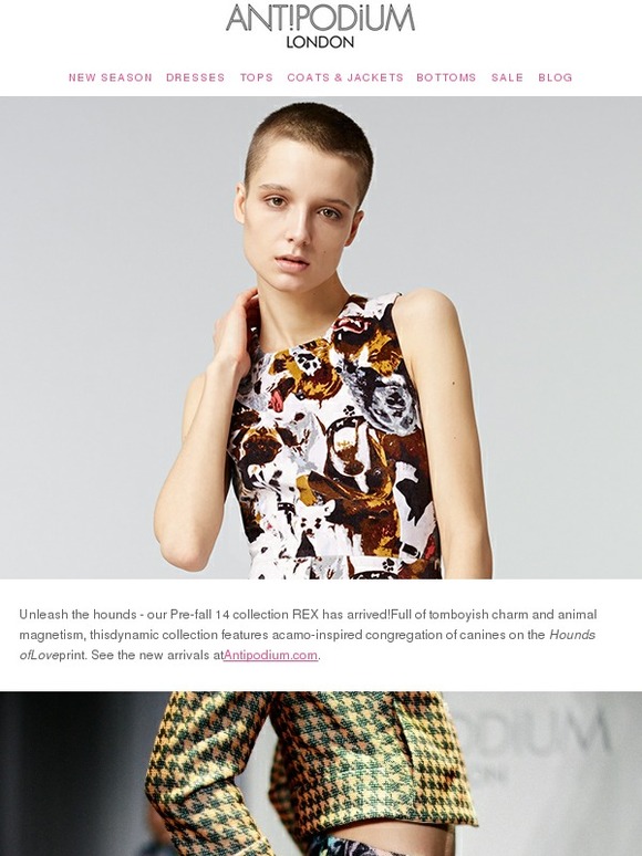 Pre-Fall arrives and final reductions in the sale