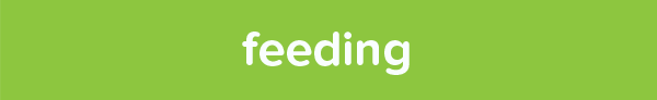 feeding