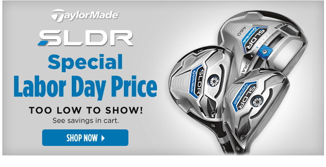 SLDR Special Labor Day Price