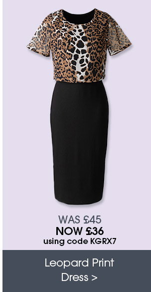  Leopard Print Dress
