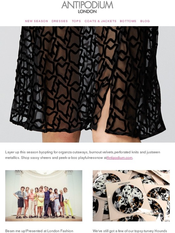 New in: shades of sheer