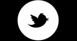 twitter mobile