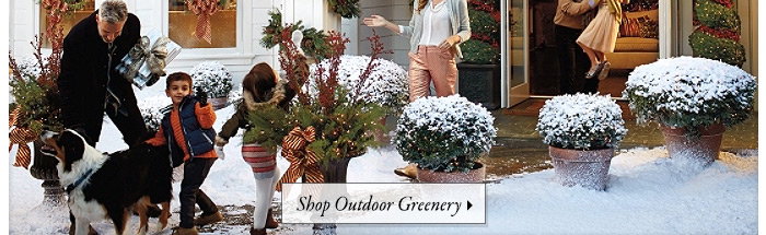 Shop Outdoor Greenery