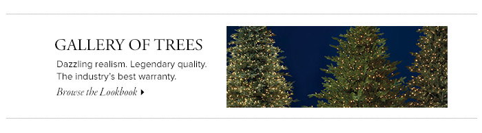 The World's Most Beautiful Trees