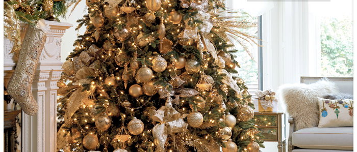 Shop Christmas Tress