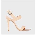 Spurr Basics $29.95