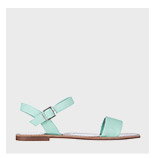 Spurr Basics $19.95