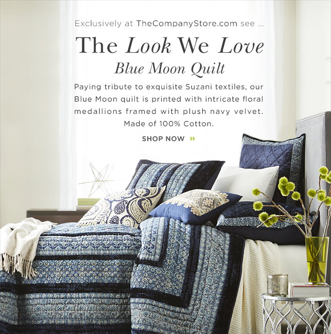 The Look We Love Blue Moon Quilt