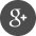 Google +