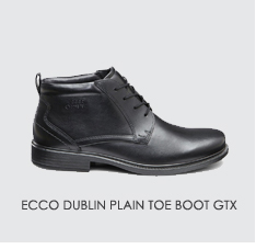 ecco dublin gtx