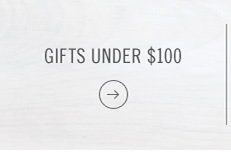 Gifts under $100