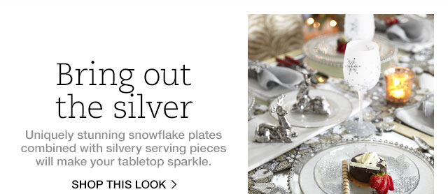 Shop Silver Snowfall