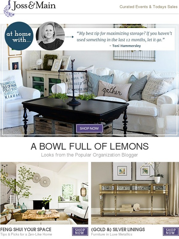 Joss & Main Organized looks from A Bowl Full of Lemons' Toni