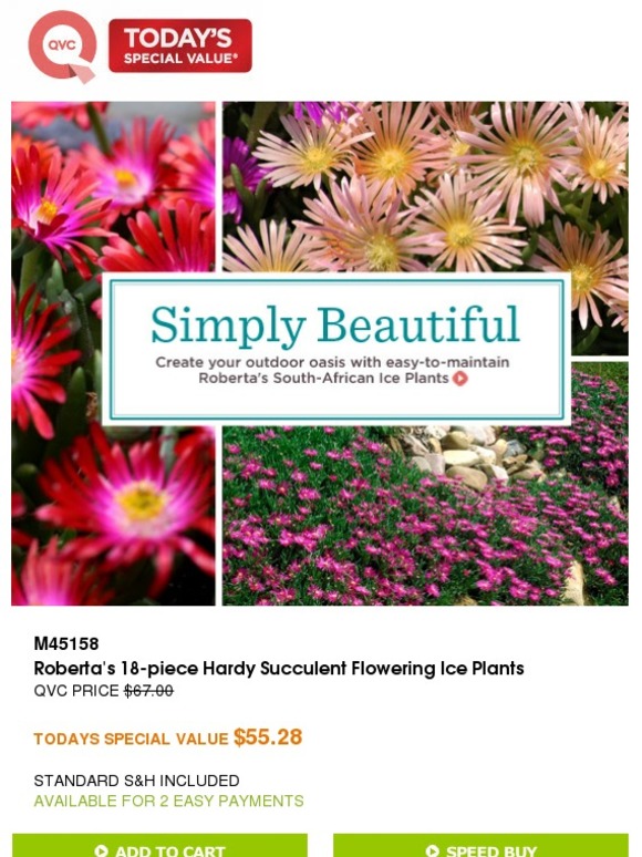 QVC QVC's Today's Special Value (Tuesday, January 20, 2015) Milled