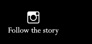 Follow the story