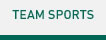 TEAM SPORTS