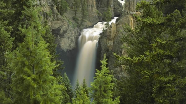 10-Day Yellowstone National Park, West Grand Canyon(Skywalk) and Yosemite Bus Tour (Start in San Francisco/End in Los Angeles)